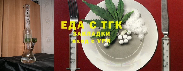 соль ск Дмитриев