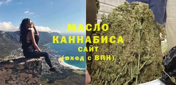 соль ск Дмитриев