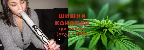 соль ск Дмитриев