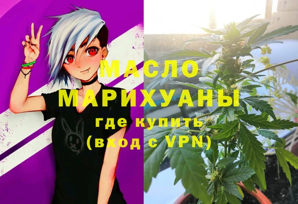 соль ск Дмитриев