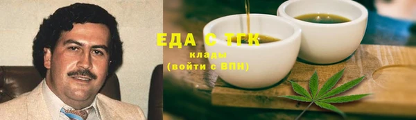 соль ск Дмитриев