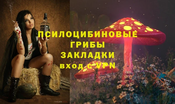 соль ск Дмитриев