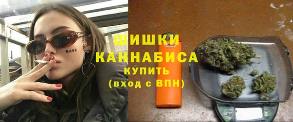 соль ск Дмитриев