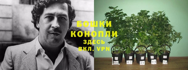 соль ск Дмитриев