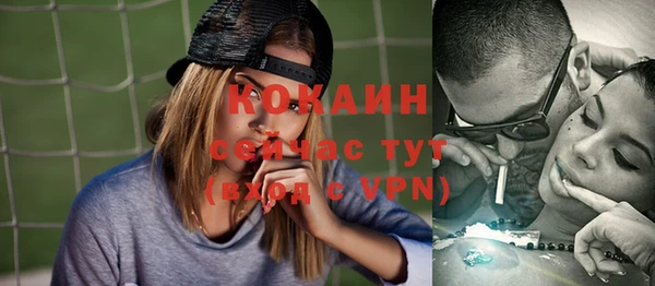 соль ск Дмитриев