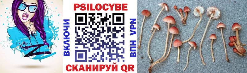 Псилоцибиновые грибы Psilocybine cubensis Наро-Фоминск